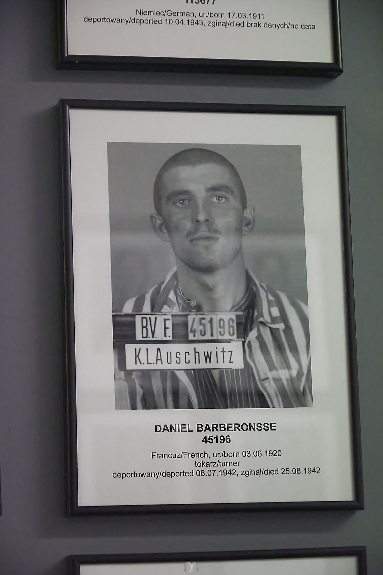 Auschwitz 40.jpg
